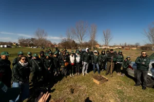 Projekat „Zasadi drvo“ premašio 1.200.000 posađenih sadnica u Srbiji