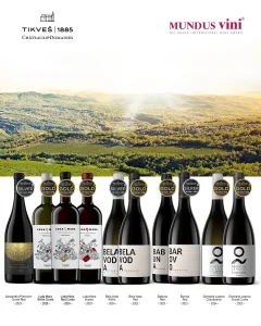 Tikveš piše istoriju