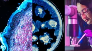 Zdravlje kože u fokusu